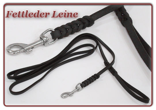 Foto Fettleder Leine