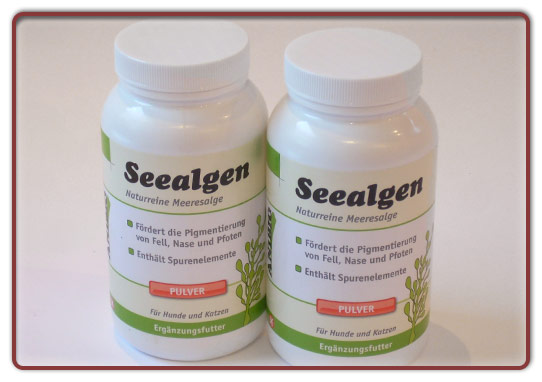 Foto: Seealgen