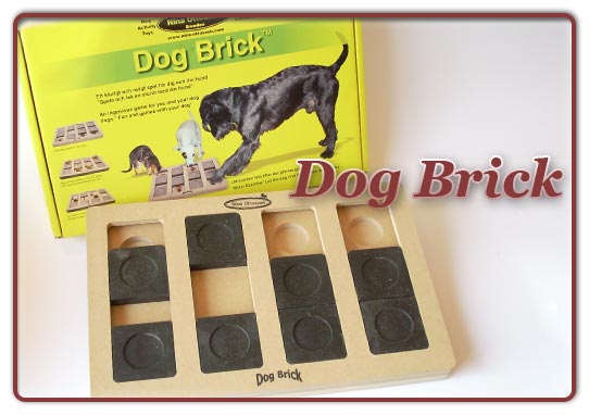 Foto Dog Brick