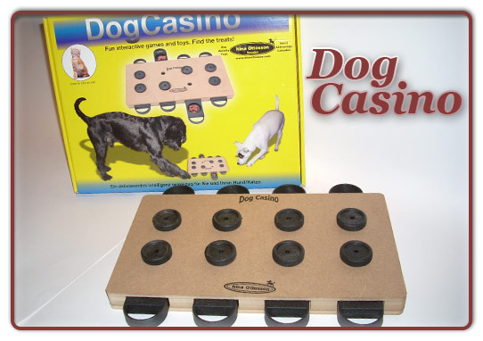 Foto Dog Casino