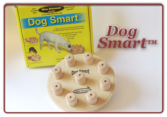 Foto Dog Smart
