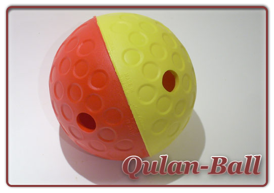 Foto Qulan-Ball